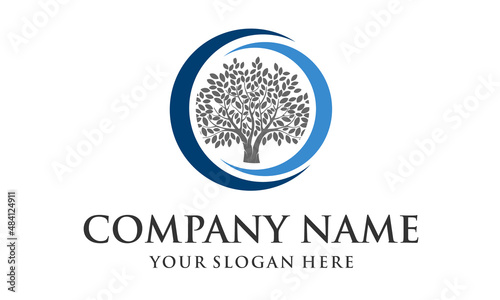 Business Financial with Tree Logo Designs