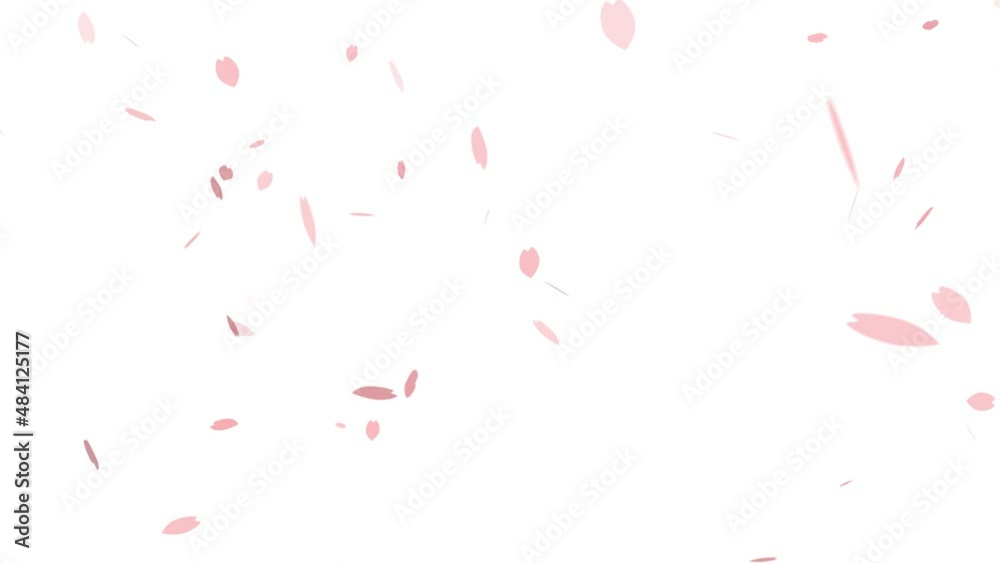 桜の花びらが散るアニメーション Stock-Video | Adobe Stock