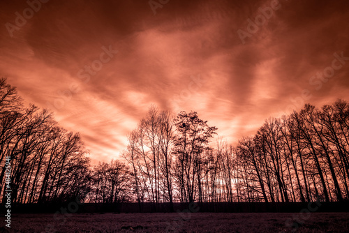 Obraz blask zachodzącego słońca za drzewami na nierealnym obrazie