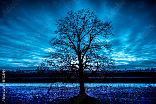 samotne drzewo nad rzeką na tle nierealnego nieba