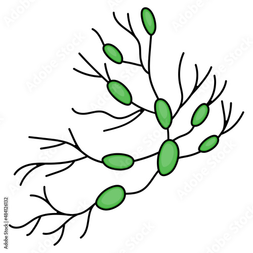 neural network Concept, Brain cells and tissue Vector color Icon Design, Organ System Symbol, Human Anatomy Sign, Human Body Parts Stock illustration