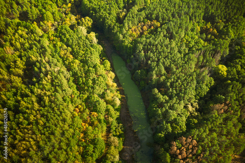 Fototapeta Naklejka Na Ścianę i Meble -  Aerial View Green Forest Woods And River Landscape In Sunny Summer Day. Top View Of Beautiful European Nature From High Attitude In Summer Season. Drone View. Bird's Eye View