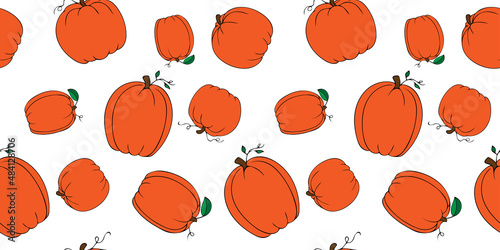 Hand Drawn Colorful Different Varieties of Pumpkins with Leaves Horizontal Pattern Isolated on White Background. Vector illustration of elegant pumpkins for fabric, cover, textile, kitchen supply.