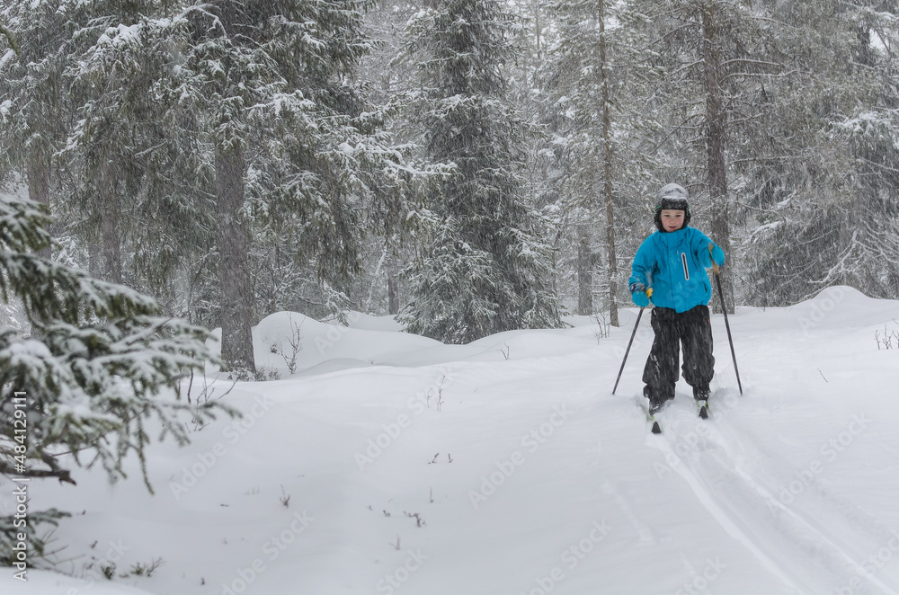 Young cross country skier in forest, Sweden.