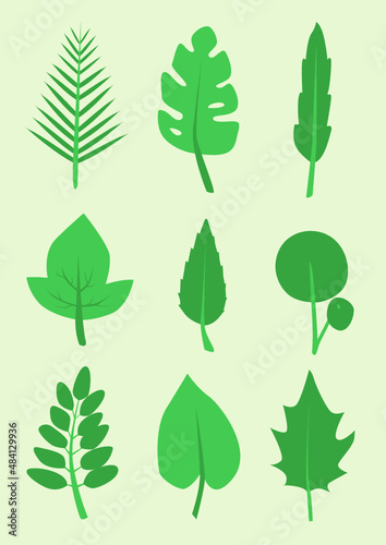 Plusieurs feuilles différentes