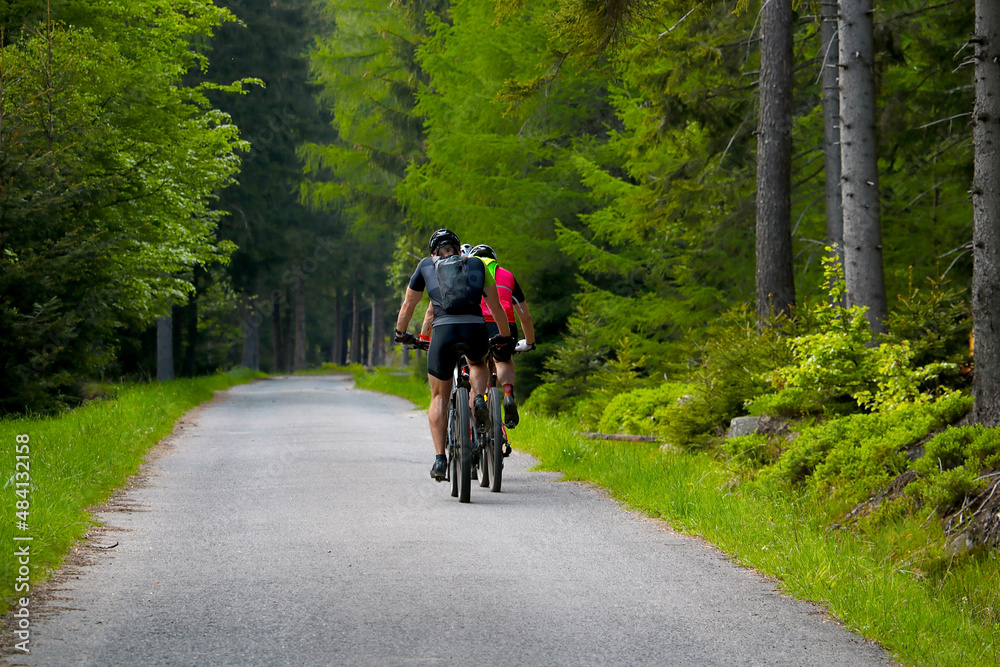 Cyclists ride on forest roads, preparing for the competition. Healthy lifestyle.