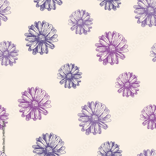Seamless background of lilac textured daisies heads © Amili