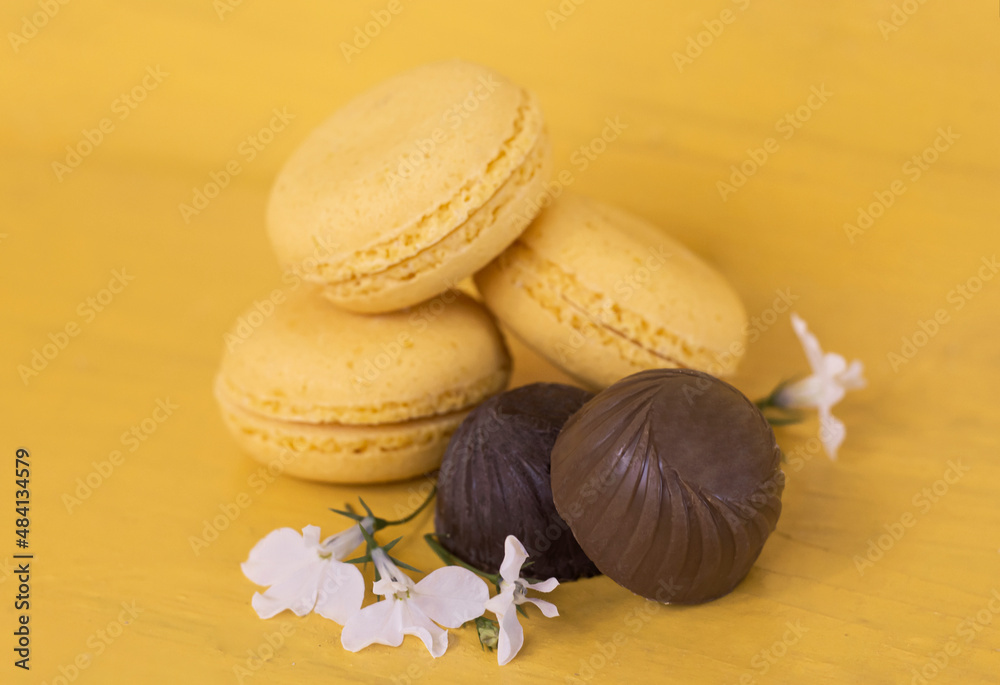macaroons with chocolate and delicate white flowers on a yellow background