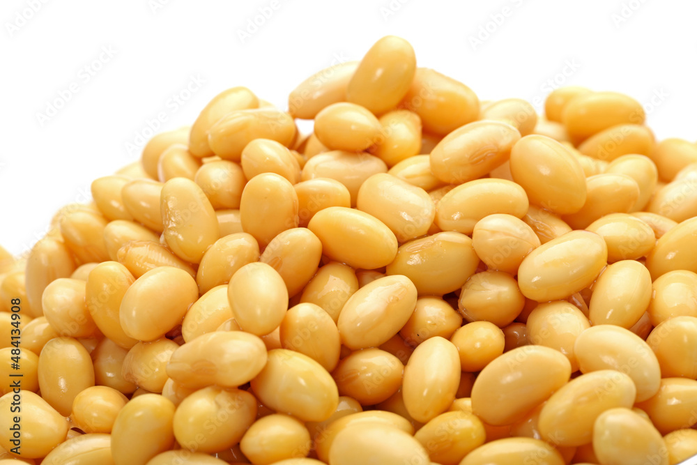 soybean isolated on white background soybean isolated on white background