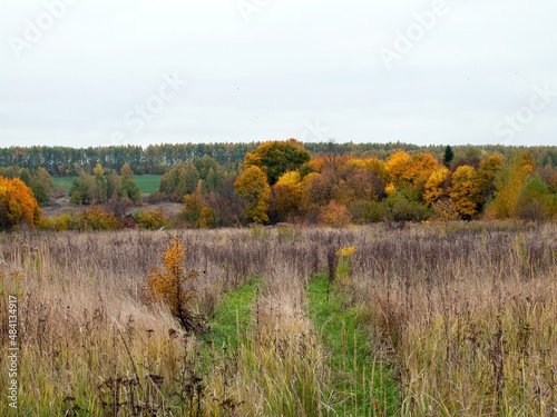 landscape on a cloudy autumn day