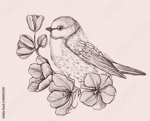 Art graphic sketch illustration of a bird sitting on a branch with spring flowers