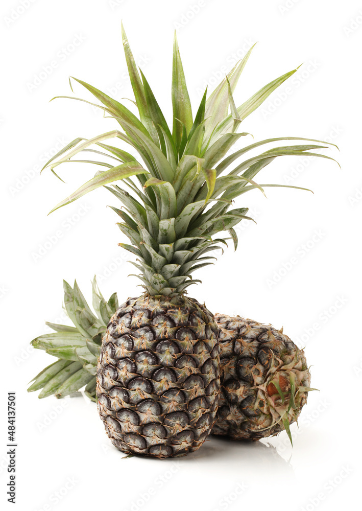 pineapple on white background pineapple on white background
