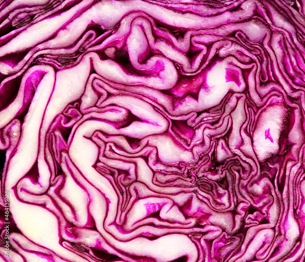 Cut though the middle of a red cabbage head, beautiful dark purple and white patterns revealed
Cut though the middle of a red cabbage head, beautiful dark purple and white patterns revealed