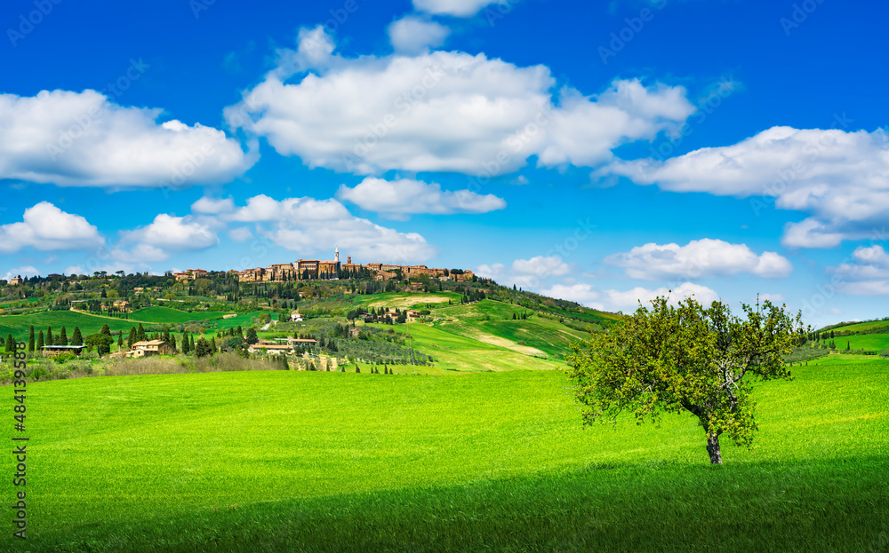 Pienza medieval village and a tree. Siena, Val d'Orcia, Tuscany, Italy Pienza medieval village and a tree. Siena, Val d'Orcia, Tuscany, Italy