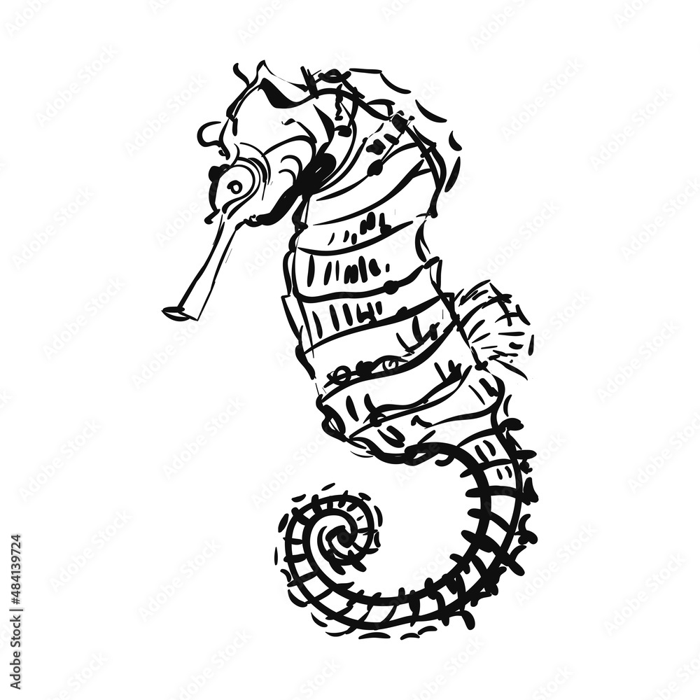Fototapeta premium Vector graphic illustration of seahorse isolated on white background
