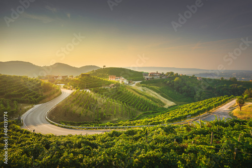 Vineyards and a road at sunrise. Prosecco Hills, Unesco Site. Valdobbiadene, Veneto, Italy