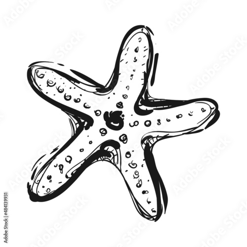Vector graphic illustration of seastar isolated on white background