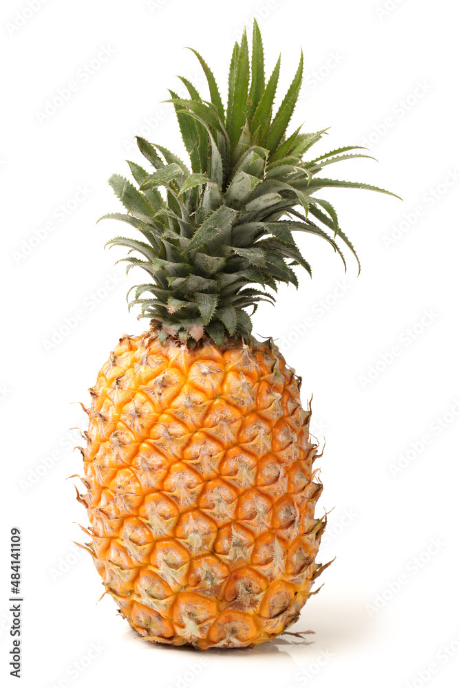 pineapple isolated on white background pineapple isolated on white background