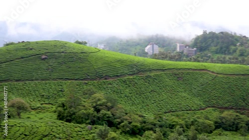 tea garden view on mountain top with cloudy sky at morning photo