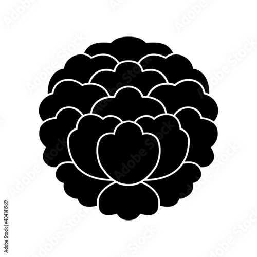 牡丹紋・大割牡丹 / 大割り牡丹（おおわりぼたん）