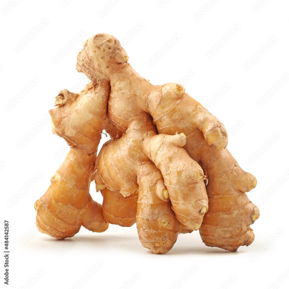 ginger isolated on white background ginger isolated on white background