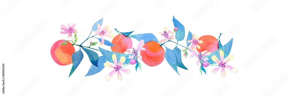Watercolor hand painted banner with orange fruits and blossom. For cards, wedding invitation, greeting design