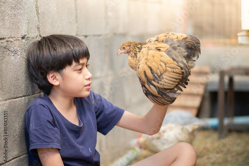 Little Asian boy playing and taking care chicken house backyard farm with love