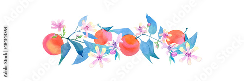 Watercolor hand painted banner with orange fruits and blossom. For cards  wedding invitation  greeting design