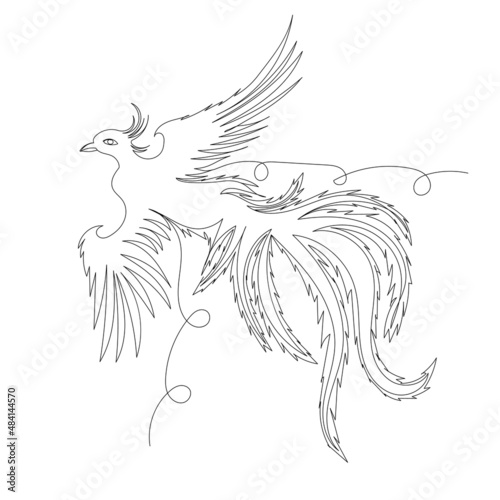 phoenix bird one line drawing ,vector, isolated