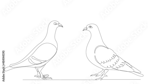 pigeons one line drawing ,vector, isolated