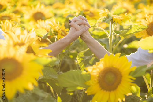 Close-up view stock photography of two happy people in countryside sunflower field background. Man and woman holding hands together with love. Wedding day or Valentine's day concept