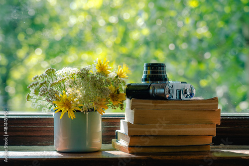Closeup view photography of windowsill of rural cottage. Bouquet of cute small field flowers in blue metal mug, several paper books and old photo camera laying on window sill
