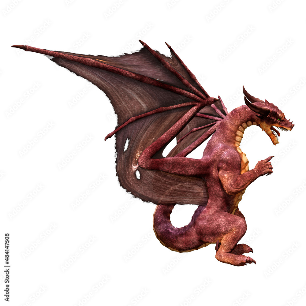 Fototapeta premium 3D Rendering Fairy Tale Dragon on White