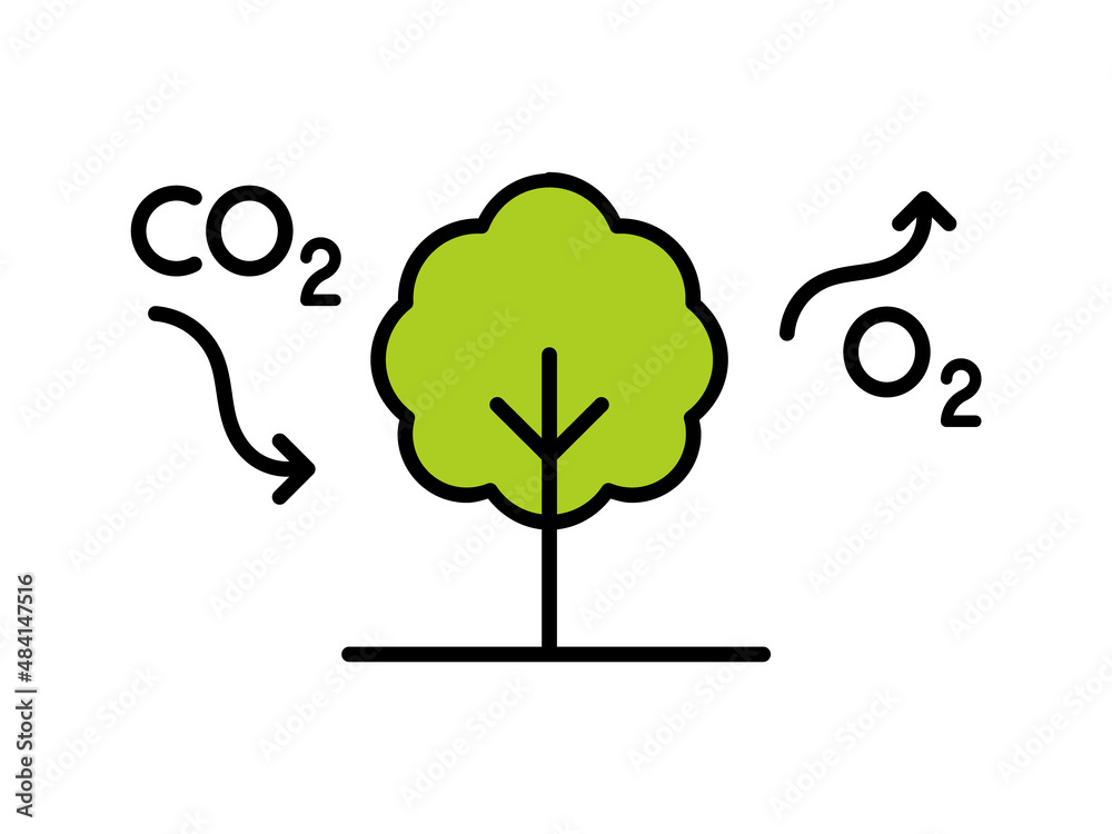 Carbon cycle. Tree absorbs CO2 and releases O2. Photosynthesis