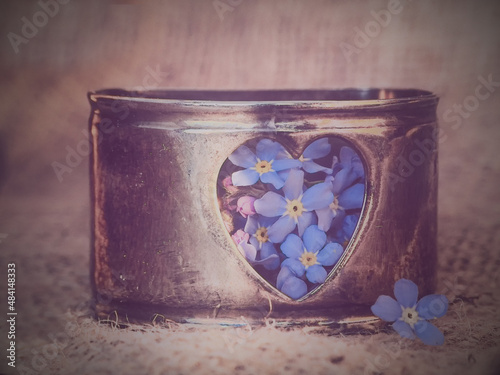 forget me not flower in a metal box