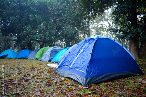 Camping and tent in a forest with beautiful sunlight in the morning. lot's of tent pitched in a row