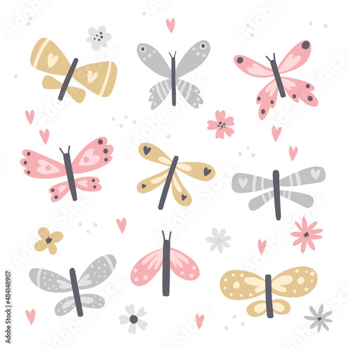 vector set of cute butterflies and flowers photo