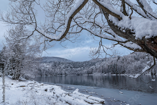 winter landscape with trees, lake and branches