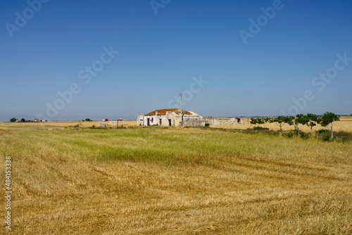 Country landscape near Siponto, Apulia, Italy photo