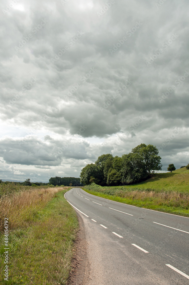 Fototapeta premium Road in the countryside