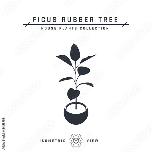 Ficus plant isometric icon in flat style, vector