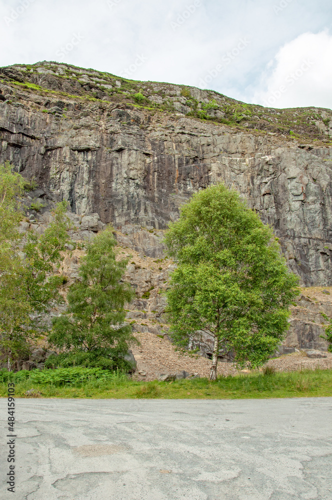 Fototapeta premium Summertime scenery around the Elan valley, near Rhayader, Powys, Wales, UK.