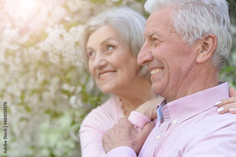 happy senior couple possing in park