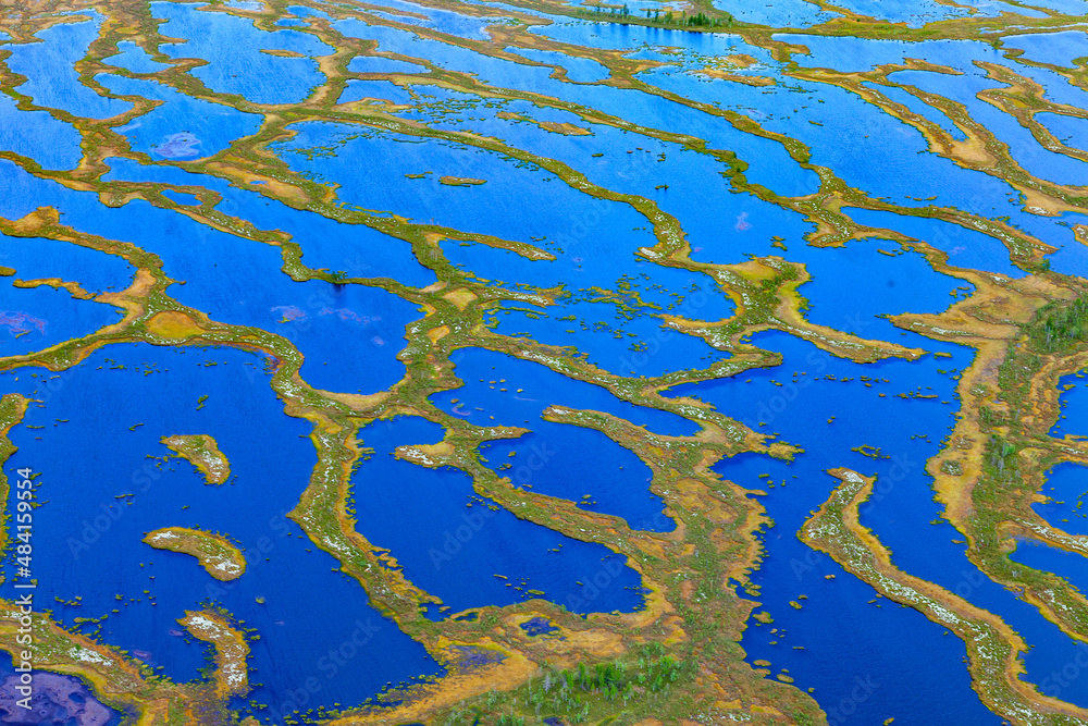 Fototapeta premium Aerial view of swamp lakes like fractals