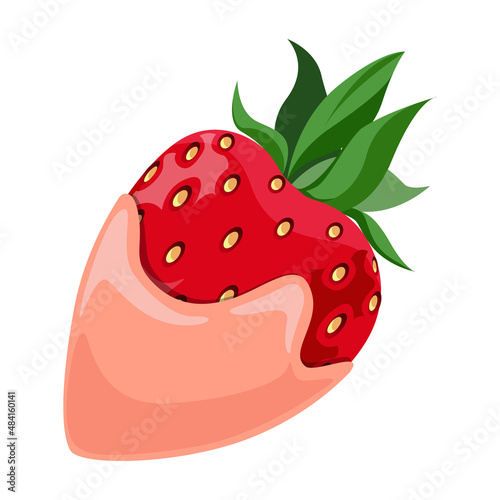 Strawberries covered with coral glaze. Vector illustration. 