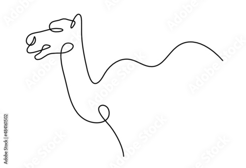 Silhouette of abstract camel  as line drawing on white. Vector