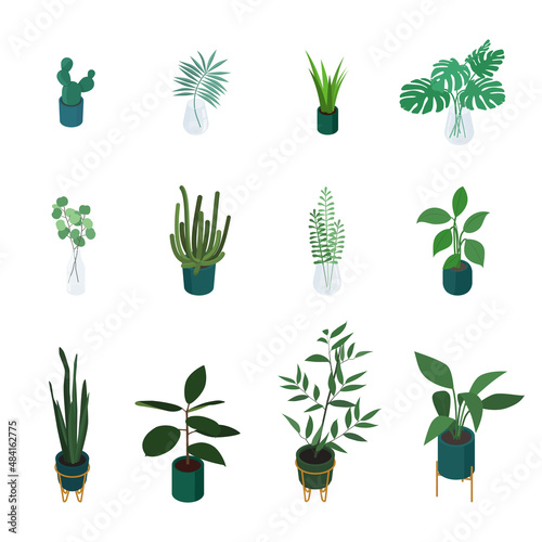 Set of isometric potted plant. Vector collection. Illustration in flat design.
