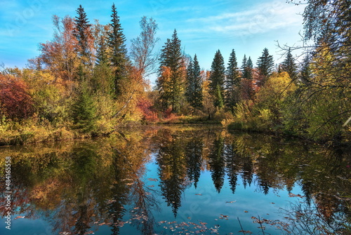 autumn trees reflected in lake © Anatolii 