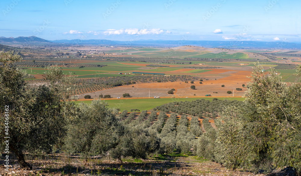 Manzanares, C Real-Spain: January 10, 2020: olive groves and cultivated plains