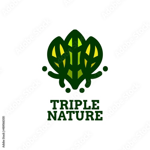 triple leaf nature logo concept design illustration